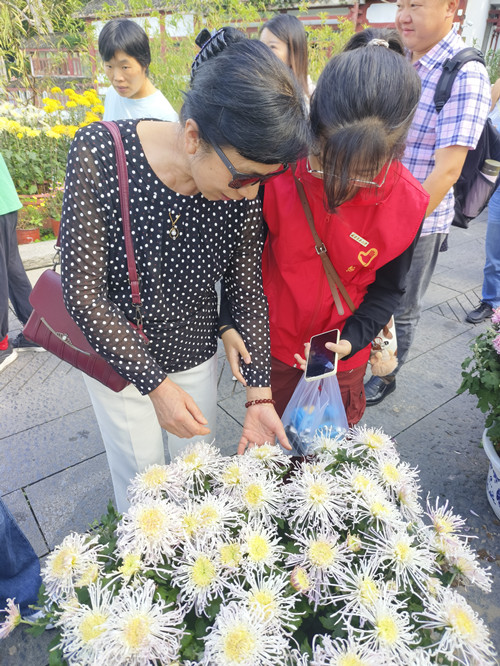 金秋赏菊，健步西湖